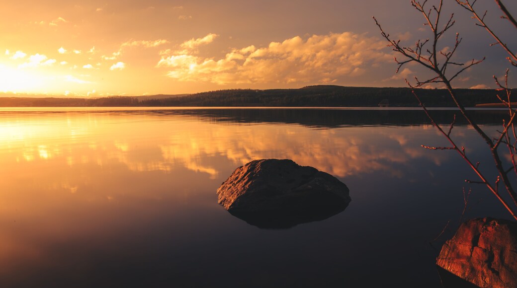 Un lago tranquilo al atardecer, con una gran roca en primer plano y una rama de árbol a la derecha.