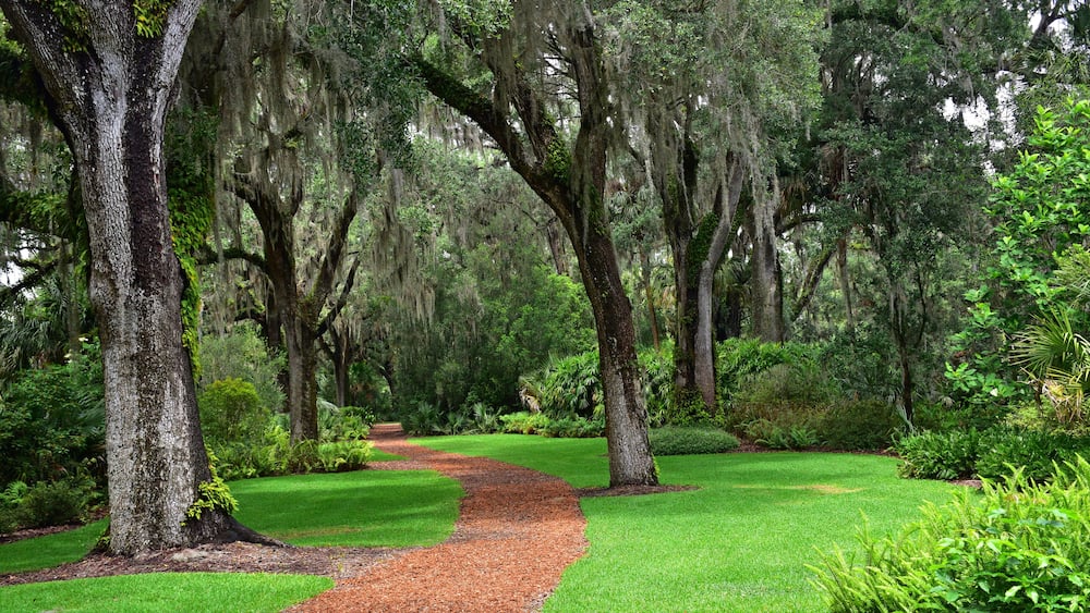US, Florida, lake wales, singing tower, Edward bok, editor, author, ladies home journal, tower, soaring, elegant, carillon. Neo-gothic, stone sculpture, sundial, zodiac signs, reflecting pool, Olmsted