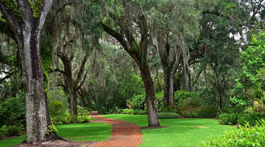 US, Florida, lake wales, singing tower, Edward bok, editor, author, ladies home journal, tower, soaring, elegant, carillon. Neo-gothic, stone sculpture, sundial, zodiac signs, reflecting pool, Olmsted