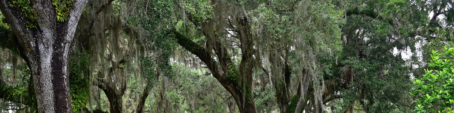 US, Florida, lake wales, singing tower, Edward bok, editor, author, ladies home journal, tower, soaring, elegant, carillon. Neo-gothic, stone sculpture, sundial, zodiac signs, reflecting pool, Olmsted
