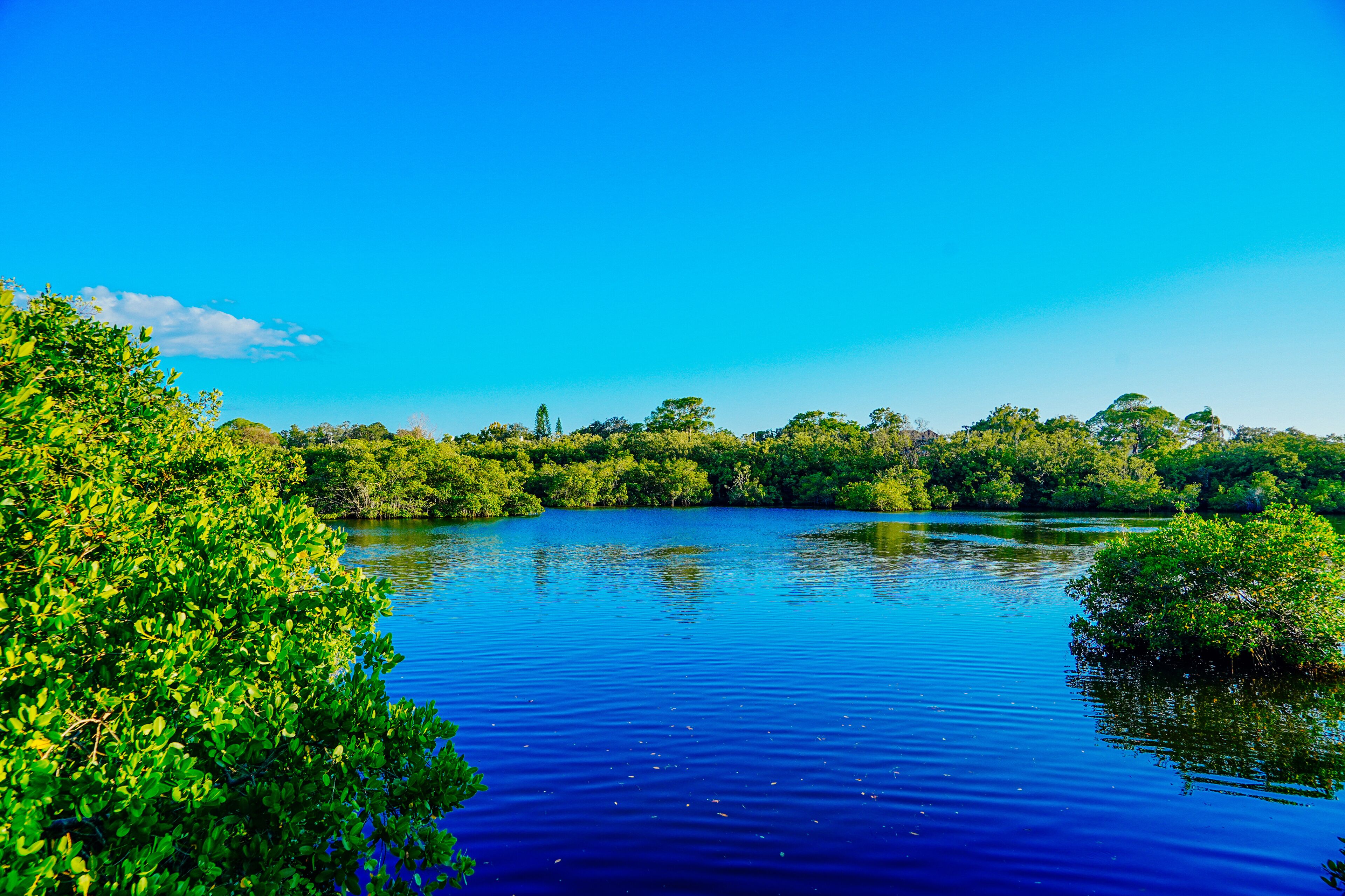 Wall Springs Park and Pinellas Trail in Palm Harbor, Tarpon Springs and Gulf of Mexico