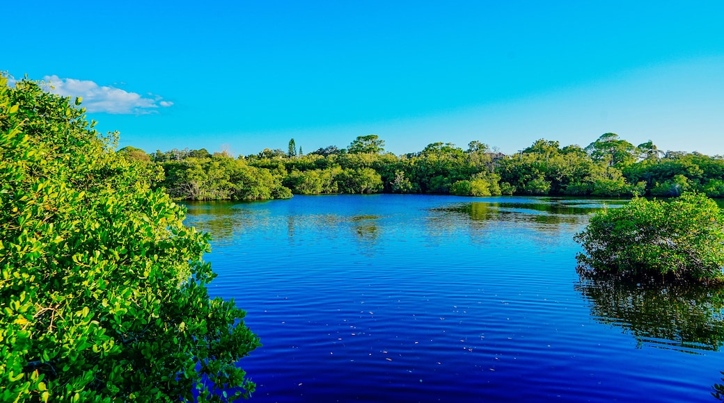 Wall Springs Park and Pinellas Trail in Palm Harbor, Tarpon Springs and Gulf of Mexico