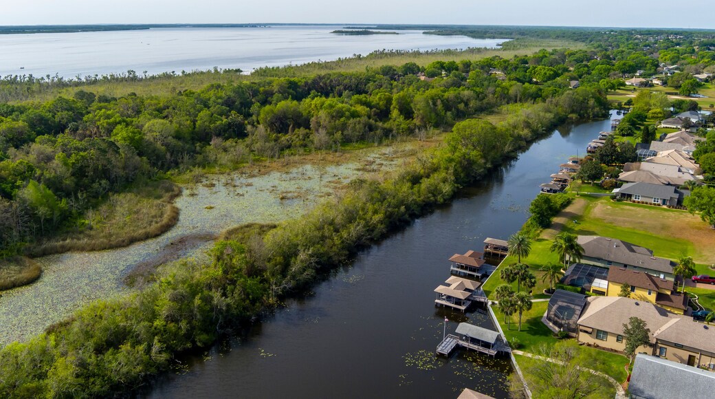 Aerial View of Lady Lake Florida