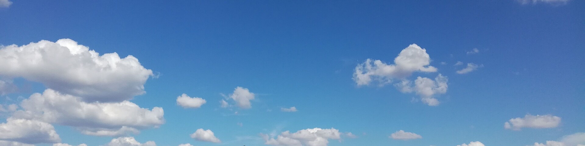 Champ de blé prêt à être moissonné dans le nord de Bréval en juillet 2018