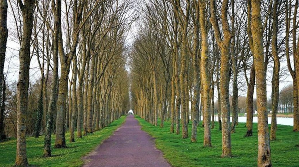 Canal trail near Carentan, France.