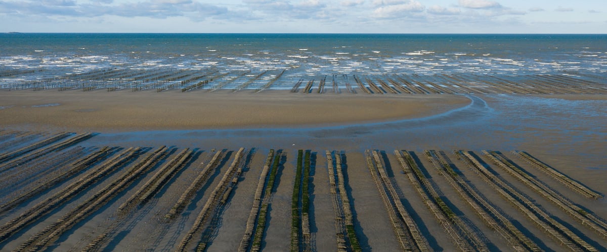 A beach with wooden structures and a sandy shoreline.