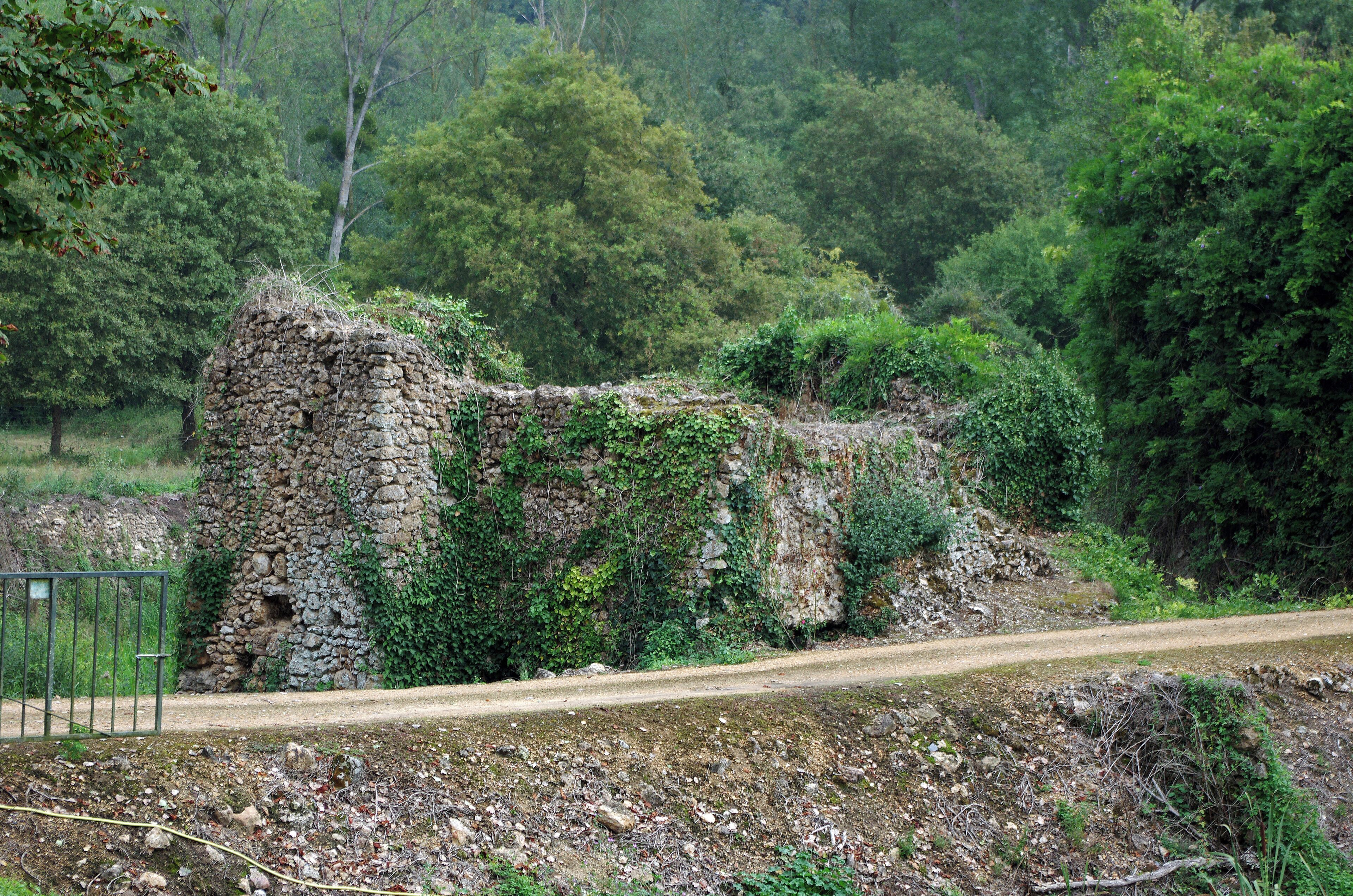 Château-Lavallière (Indre-et-Loire) Château de Vaujours (XIIe, XVe). Des pans de murs, des tours ruinées, un ponceau (petit pont) fortifié, s'élèvent sur un tertre dominant la vallée de la Fare*. L'enceinte comprend plusieurs tours, dont certaines portent un parement avec des bossages défensifs*. On peut encore distinguer l'ancien château haut et son donjon, ainsi que la basse-cour. Le seigneur le plus anciennement connu, dans la deuxième moitié du Xe siècle, est Hugues Ier d'Alluye, seigneur d'Alluye, vassal de Leudgarde de Vermandois*. La construction du château de Vaujours peut être attribuée à Hugues VI d'Alluye ou à Rotron de Montfort* vers 1250. Au XVème siècle, le château des Alluyes est abandonné pour celui de Vaujours. Jean V de Bueil*, compagnon de Jeanne d’Arc et amiral de France, surnommé «le Fléau des Anglais», rendit les défenses telles que le château-fort devint imprenable: sur un site en fond de vallée, protégé par une double enceinte et un système de douves, de boulevards d'artillerie et de bastions casematés, innovant dans l’art de la fortification. Il y mourut, en 1477. Lors de la guerre de Cent Ans, la forteresse ne fut jamais prise par les Anglais. Le duché de La Vallière-Vaujours restera dans la famille de Bueil de 1398 à 1667. Louis XI y séjourna lors de ses visites en Anjou chez sa sœur naturelle, Jeanne de France, fille de Charles VII et d’Agnès Sorel. Jeanne, épousa Antoine de Bueil, le fils de Jean V de Bueil. Le sire de Bueil accueillit le roi le 3 juin 1469 avant d'être reçu dans l'Ordre de Saint-Michel. Louis XI y retourna le 17 septembre 1470 ainsi que le 2 octobre 1471. A partir du XVIe siècle, Château-La-Vallière, donc Vaujours, dépendra de la Sénéchaussée de Baugé. La Sénéchaussée de Baugé sera démantelée à la Révolution, et Château-la-Vallière fut attribué au département de l'Indre-et-Loire. En 1666, Louis XIV rachète la terre de La Vallière, composée de trois fiefs: les baronnies de Château-Vaujours et Saint-Christophe, et la haute justice de Marçon. La Vallière sera érigé en duché-pairie en 1667, en faveur de sa favorite, Françoise-Louise de La Baume* Le Blanc, plus connue sous le nom de Louise de La Vallière* (Fabrice Mauclair. La justice seigneuriale du duché-pairie de La Vallière 1667-1790. Université François Rabelais, Tours 2006). En 1673, la terre de Courcelles est rattachée au duché de La-Vallière. Châteaux-Vaujours et Saint-Christophe seront à nouveau érigé, en 1723 en duché-pairie pour Charles-François de La Baume Le Blanc. C'est la fille de Louise de La-Vallière, Marie-Anne de Bourbon*, "Mademoiselle de Blois", qui hérite du duché et l'apporte à son mari Louis-Armand de Bourbon. Marie-Anne de Bourbon, devenu veuve, cède, en 1698, le titre à son neveu Charles-François de La Baume Le Blanc, marquis et deuxième duc de La Vallière. Son fils Louis-César, troisième duc, lui succède de 1732 à 1780. Le château échappa à l'ardeur révolutionnaire et ne devint une ruine qu'après son abandon au XIXe siècle, lors de la reconstruction du château des Landes (des Sept Tours). L'unique héritière de Louis-César troisième duc de La Vallière, AdrienneEmilie-Félicité de La Baume Le Blanc, duchesse de Châtillon, restera dame du duché-pairie jusqu'à sa mort en 1812. La terre devient alors propriété de sa fille, Amable-Emilie de Châtillon, duchesse d'Uzès, qui vend la terre à Thomas Stanhope-Holland. Vaujours fut vendu en 1815 à l'anglais sir Thomas Stanhope-Holland* qui l'utilisa comme carrière de matériaux. Le château demeure la plus grande ruine d'Indre-et-Loire. Sir Thomas Stanhope-Holland fit l'acquisition en même temps du château des Sept-Tours, sur la commune de Courcelles, ll se servira de Vaujours comme carrière de pierres pour embellir celui-ci. La Fare prend sa source vers Sonzay et se jette dans le Loir après un parcours de 37 km. En théorie, les bossages permettaient de dévier les projectiles. Mais les avantages de ces bossages, assez peu évidents, sont contrebalancés par des inconvénients bien réels : escalade plus aisée, descellement des pierres facilitée, complication de la construction. Finalement, le bossage qui fut à la mode dans les années 1270-1310, finira par disparaître. Leudgarde de Vermandois était veuve de Thibaud «Le Tricheur», comte de Blois, Chartres et Tours. Elle décède en février 978, à Chartres, et est inhumée dans l'Abbaye de Marmoutier. Son époux Thibaud le "Tricheur", ainsi surnommé par les seigneurs de son entourage, en raison de sa fourberie; le poète anglo-normand Robert Wace le décrira : «Tiebaut fut plain d'engin et plain fu de faintié, a homme ne a fame ne porta amistié,
de franc ne de chaitif n'out merci ne pitié
ne ne douta a faire mal euvre ne pechié ;»
 Thibaud fut plein de ruse et plein fut de fausseté,
à homme ni à femme ne porta amitié,
de libre ni de captif n'eut merci ni pitié
ni n'hésita à faire méfait ni péché ;
 (R. Wace, Le Roman de Rou, publié par A.J. Holden, 1970) Rotron ou Rotrou de Montfort (Rotrodis de Monteforti). Il s'agit de Rotrou V de Montfort qui épousa, vers 1240, Dame Marguerite d'Alluye, de Château-la-Vallière et Saint-Christophe, fille d'Hugues VI seigneur d'Alluye et Château-la-Vallière. Jean V de Bueil (1406-1477 à Vaujours), chevalier, capitaine de Tour puis amiral de France, comte de Sancerre et vicomte de Carentan, était seigneur de Bueil, Montrésor, Ussé, Vaujours et autres lieux. Compagnon de Jeanne d'Arc (il sera présent aux côtés de la pucelle à Orléans, Jargeau, Meung-sur-Loire, Beaugency, Patay, Reims, Paris), il est l'auteur d'un livre : "Le Jouvencel (1466), un roman semi-autobiographique. «La plupart des chouses qui sont escrites oudit livre du Jouvencel, il les a faites et executees dont d’autres s’en sont donné la gloire de les avoir faictes», dit un des serviteurs de Jean de Bueil, Guillaume Tringant (Le compagnon sans mémoire - Le siège d’Orléans dans le Jouvencel de Jean de Bueil - Françoise Michaud-Fréjaville). Il fut destitué de son titre d'amiral à l'arrivée de Louis XI, en 1461, en même temps que la plupart des officiers proches du père du roi, Charles VII. Jean V de Bueil rentrera en grâce auprès de Louis XI en 1469. Jean de Bueil accueillera le roi Louis XI dans son château de Vaujours le 3 juin 1469. La famille de la Baume est originaire de Bresse. Le château fut offert à Mademoiselle de la Vallière, ancienne maîtresse de Louis XIV, comme lot de consolation, le roi Soleil ayant choisit comme nouvelle maîtresse Mademoiselle de Tonnay Charente, future marquise de Montespan. En 1670, après une maladie (peut-être une fausse couche) qui lui fait entrevoir la mort, Louise se tourne vers la religion. Elle entrera au couvent et le 3 juin 1675, elle prononce des vœux perpétuels, prenant le nom de Louise de la Miséricorde. Elle mourut au couvent, à 65 ans, le 6 juin 1710. Marie-Anne de Bourbon était fille naturelle de Louis XIV et de Louise de La Vallière. Légitimée, elle prend le titre de Mademoiselle de Blois. Marie-Anne devient duchesse de la Vallière et de Vaujours en 1675 (à l'entrée de sa mère au Carmel du Faubourg Saint-Jacques). Elle rendra souvent visite à sa mère au couvent, ainsi qu'à son frère Louis de Bourbon, comte de Vermandois, quatrième enfant que Louise de La Vallière eut avec Louis XIV. En 1681, Louis de Bourbon, comte de Vemandois (et nommé Amiral de France à 5 ans), âgé de 13 ans, fut violé par le chevalier de Lorraine, mignon de Monsieur frère du roi, le duc d'Orléans. Le naïf et jeune Louis de Bourbon, séduit par la débauche de son corrupteur, chercha pour celui-ci des adeptes à sa "Confrérie des Italianisants". Cette recherche trop visible lui attira les foudres du roi et il fut contraint de se retirer de la cour en 1682. Louis de Bourbon meurt en Flandres, le 18 novembre 1683, à l'âge de 16 ans d'une maladie contractée au siège de Courtrai. Sa mort affectera peu son père, Louis XIV, au contraire de sa soeur Marie-Anne de Bourbon. Sir Thomas Stanhope-Holland était un maître de forge anglais. Des forges, mentionnées dès 1640 à Château-La-Vallière, et en fonction jusqu’en 1843 sont installées en contrebas de l’étang de retenue de la Fare. On comprend donc l'intérêt de cet anglais pour le lieu. www.chateaudevaujours.com/vaujours/Bienvenue_Welcome.html fr.wikipedia.org/wiki/Ch%C3%A2teau_de_Vaujours saumur-jadis.pagesperso-orange.fr/bios/thibaud.htm crm.revues.org/725 (Sur le siège d'Orléans dans "Le Jouvencel") fr.wikipedia.org/wiki/Louise_de_La_Valli%C3%A8re fr.wikipedia.org/wiki/Louis_de_Bourbon_(1667-1683) archives.cg37.fr/UploadFile/GED/Archives1790/1370344780.pdf