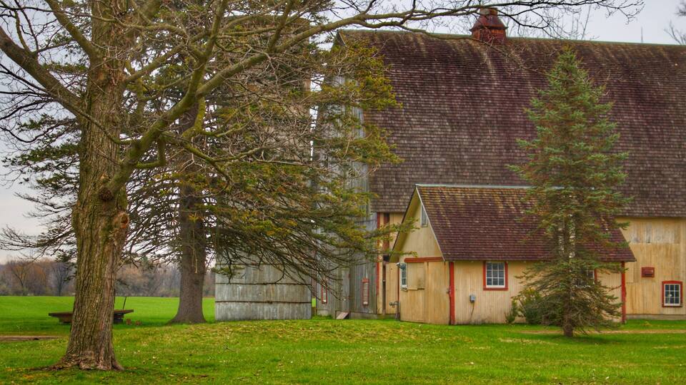 A large wooden house with a red roof, surrounded by a grassy yard and a large tree.
