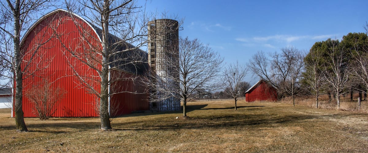 1323 - Romeo Plank Reds I