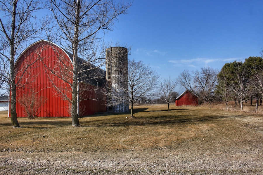 1323 - Romeo Plank Reds I