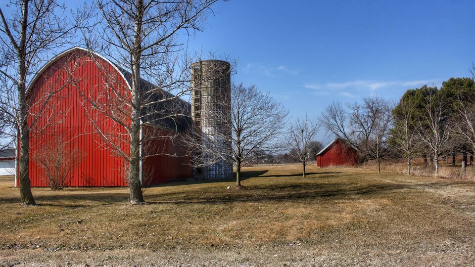 A red barn, a silo, and a small tree in a grassy field.