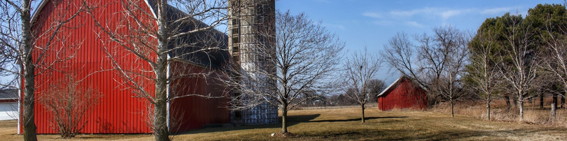 1323 - Romeo Plank Reds I