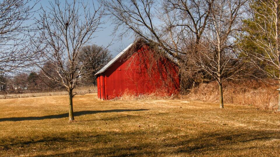 A red barn in a grassy field with leafless trees around it.