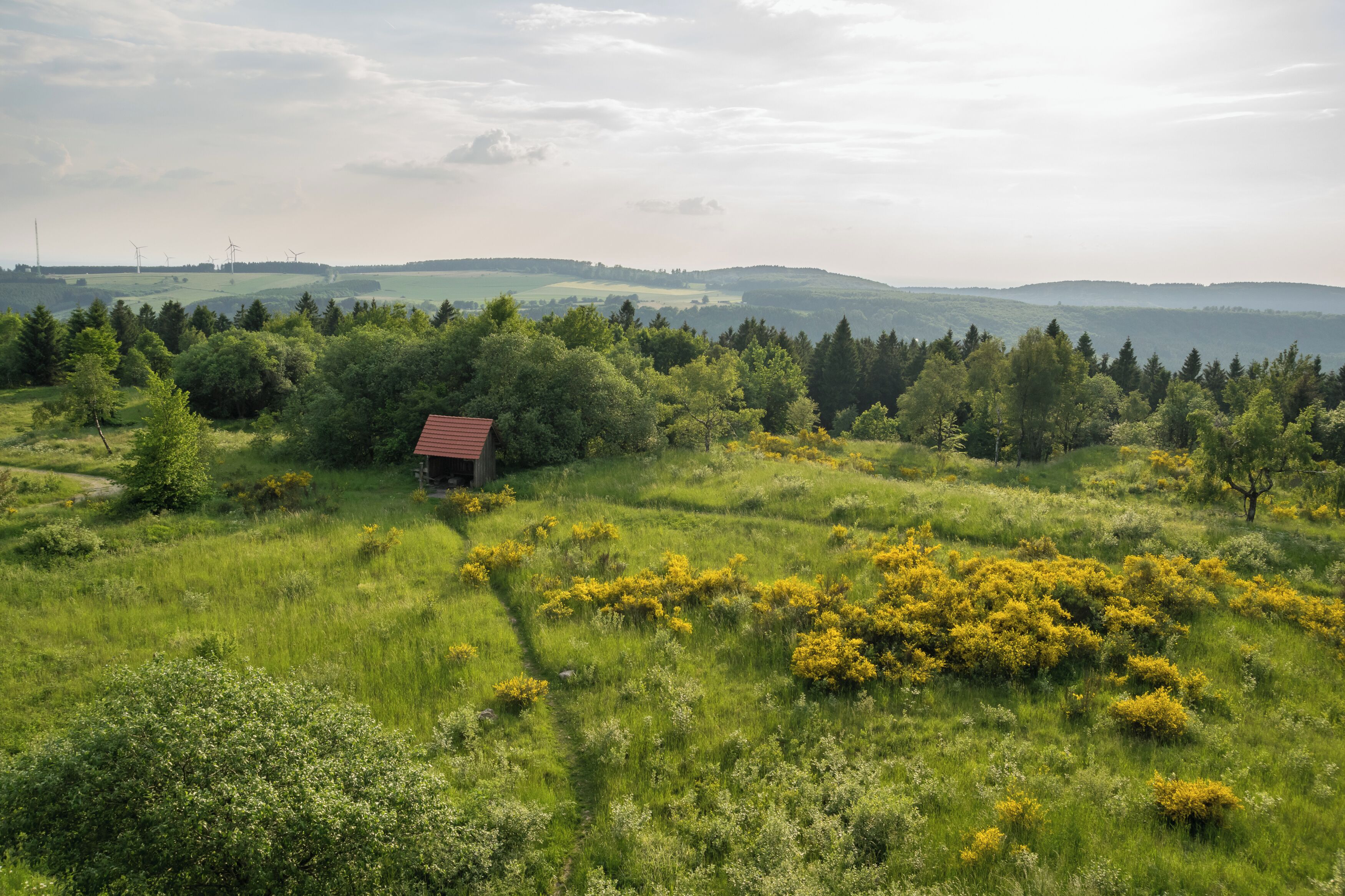 Aussicht vom Eggeturm auf der Preußischen Velmerstot Richtung Westen