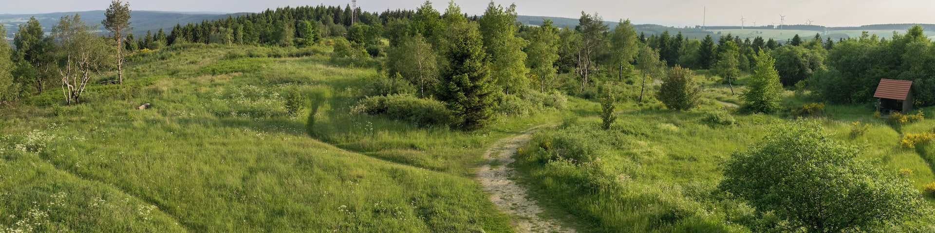 Aussicht vom Eggeturm auf der PreuĂischen Velmerstot Richtung SĂŒden