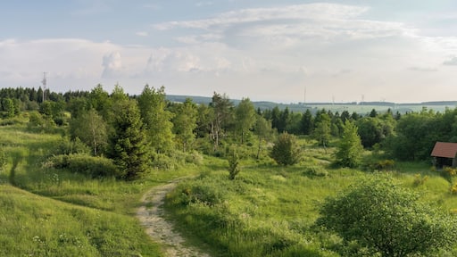 Aussicht vom Eggeturm auf der Preußischen Velmerstot Richtung Süden