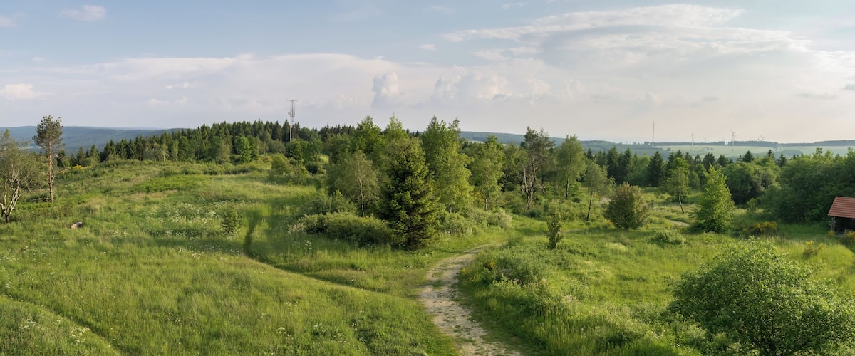 A grassy path winding through a forest with a small red-roofed building.