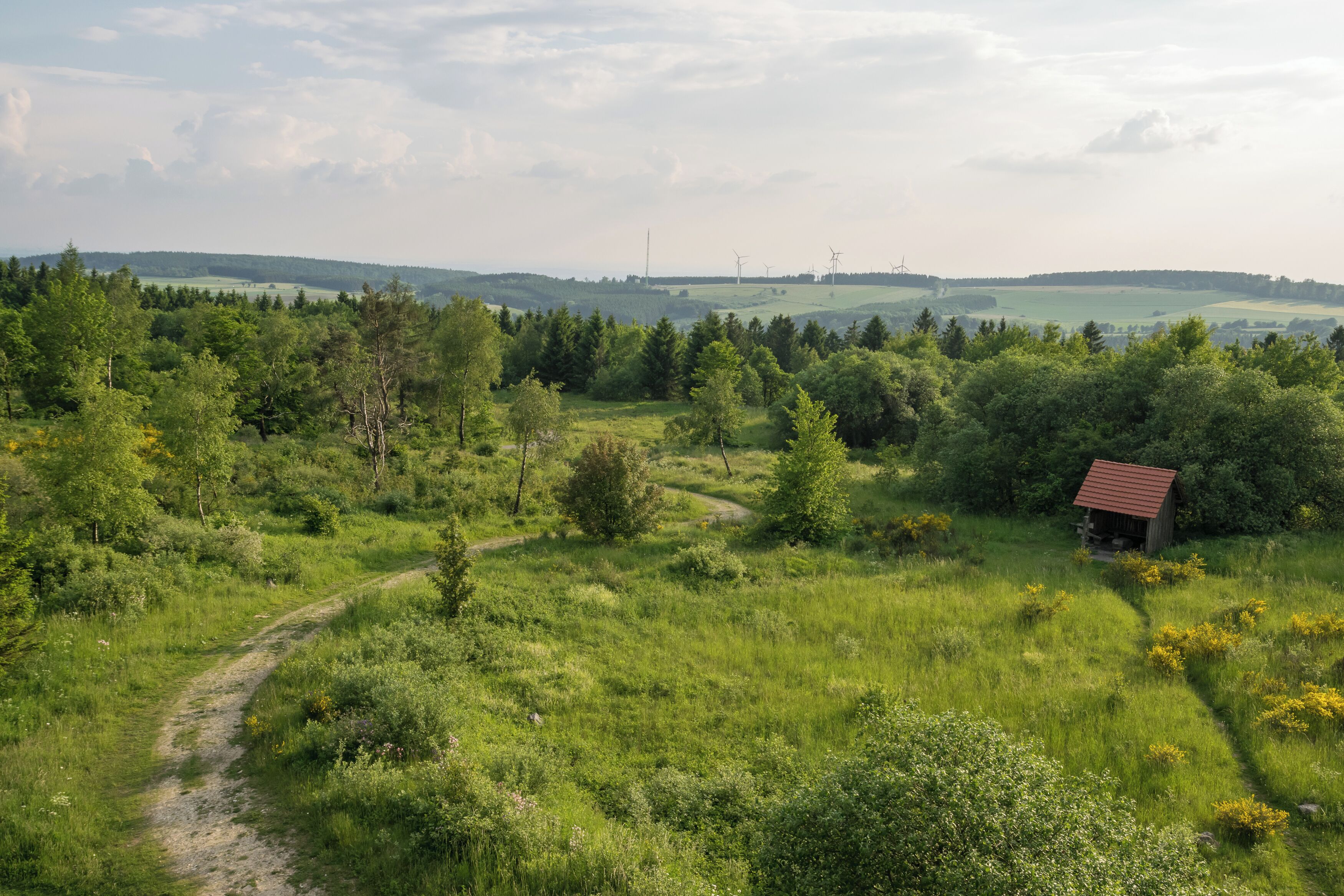 Aussicht vom Eggeturm auf der Preußischen Velmerstot Richtung Südwesten