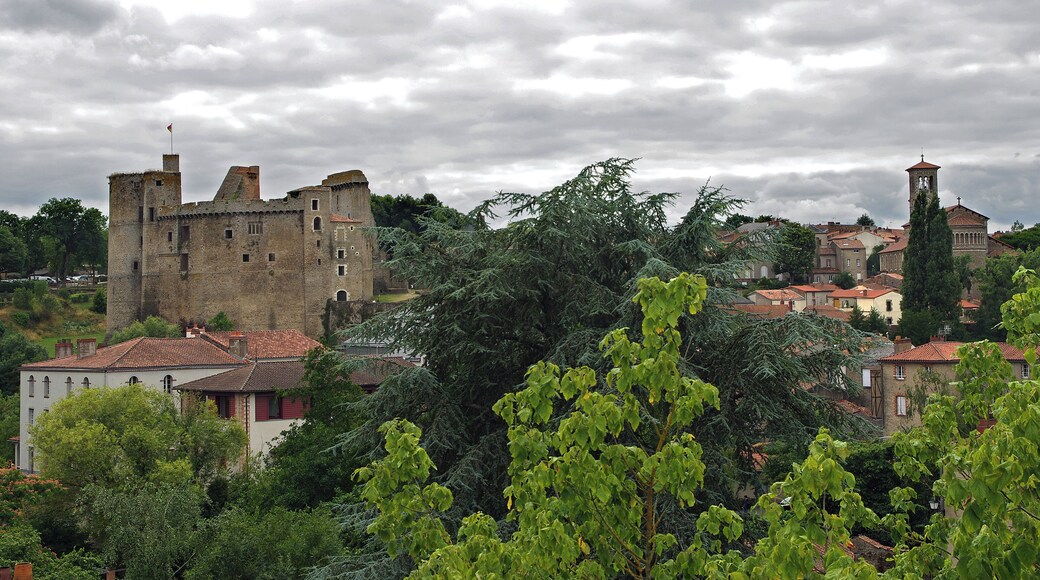 Clisson (Loire -Atlantique) Vue générale de Clisson, avec le château et l'église Notre-Dame. L'aspect toscan des toitures est caractéristique de la reconstruction italianisante du XIXe siècle.