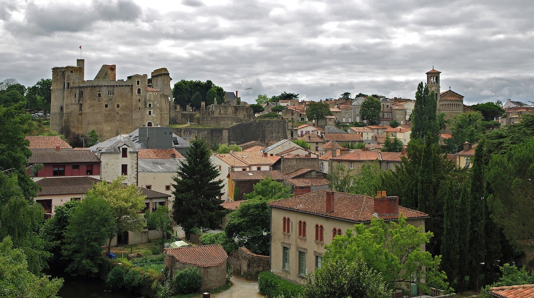 Clisson (Loire -Atlantique) Vue générale de Clisson, avec le château et l'église Notre-Dame. L'aspect toscan des toitures est caractéristique de la reconstruction italianisante du XIXe siècle.