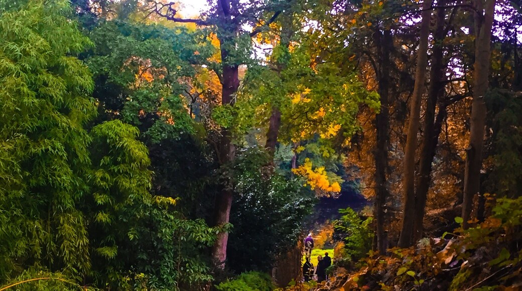 Do you know about Clisson ans his castle? Clisson is a beautiful medevial village, rich for his history, one the St Jacques de Compostel route, historical capitale of wine of Loire-Atlantique. Here is one of the stairways which offers possibility for walkers to hick down to the Sèvres. During Falls, this place is as peaceful as mysterious. Castle is also gorgeous and I propose to you to visit Maison du Jardinier and his park for the incredible view of the valley and Temple de l’Amitié, a Romane temple also with an incredible view!