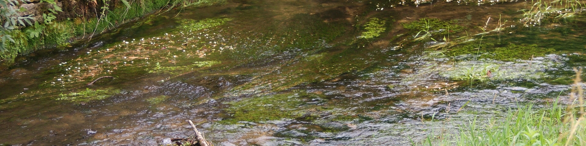 Auberive, L'Aube