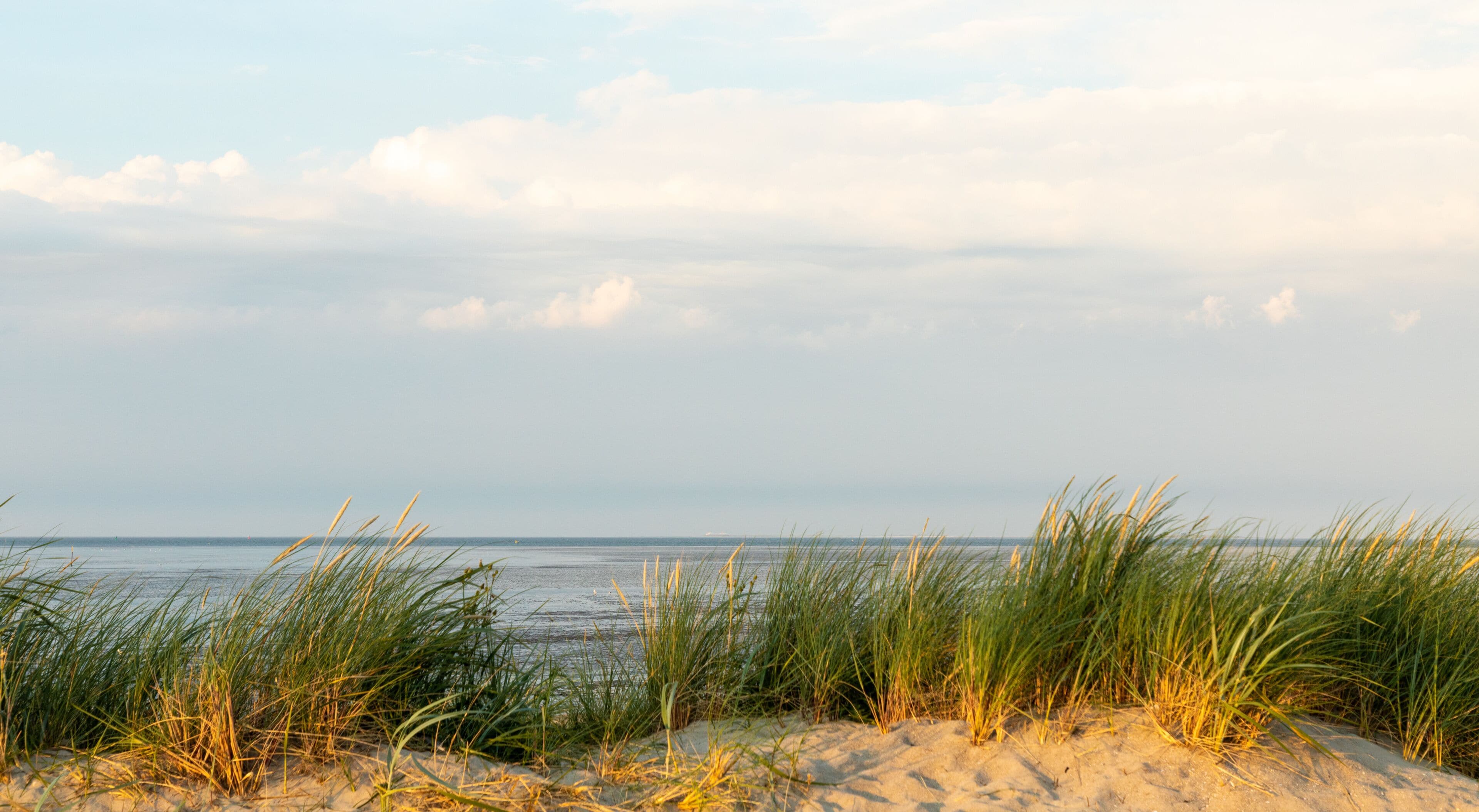 dunes at north sea germany sunset