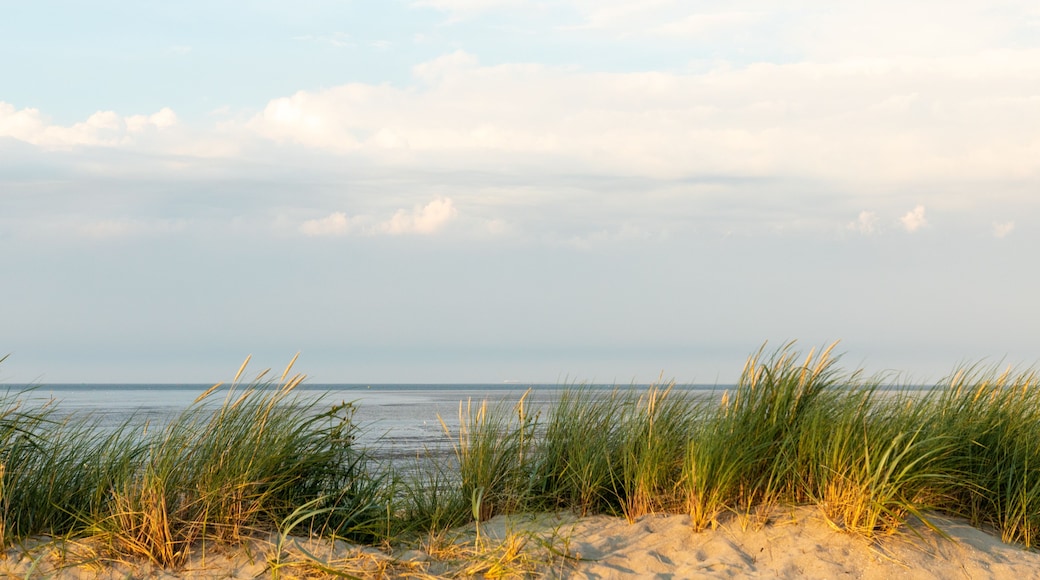 dunes at north sea germany sunset