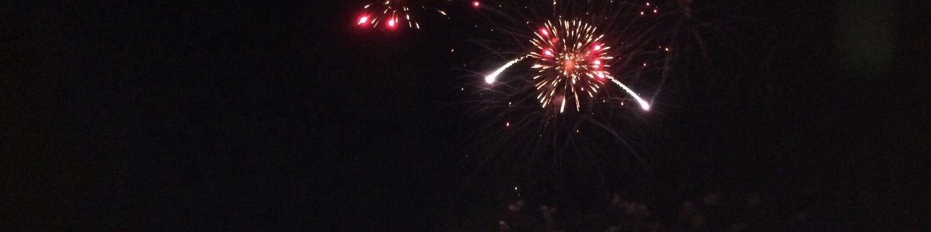 To celebrate Bastille day on the 14th of July, when France became independent from their monarchy.