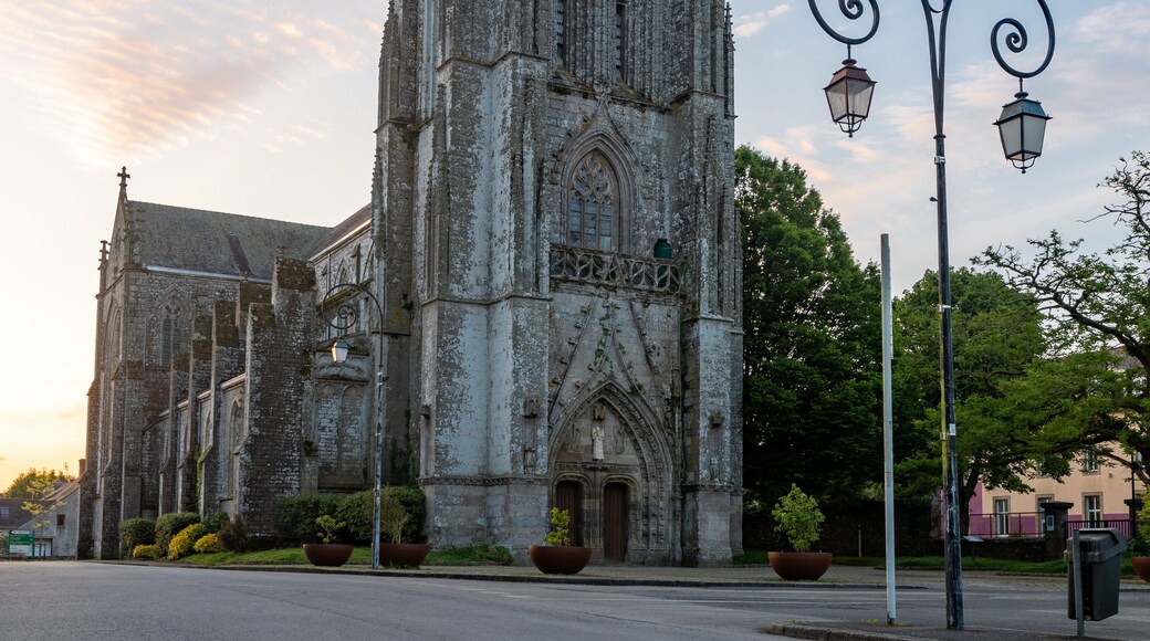 Ancienne Collégiale Saint-Trémeur
An ancient Gothic cathedral at sunrise in Carhaix-Plouguer, Brittany, France