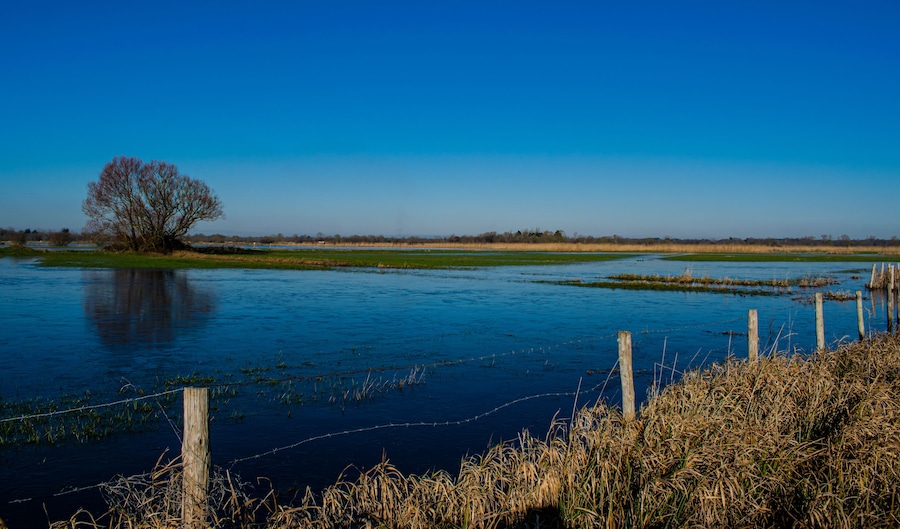 Vendée, France; January 2, 2021: the marshes of blue colors are frozen, winter is here, a superb day with a magnificent sky, not far from Challans.