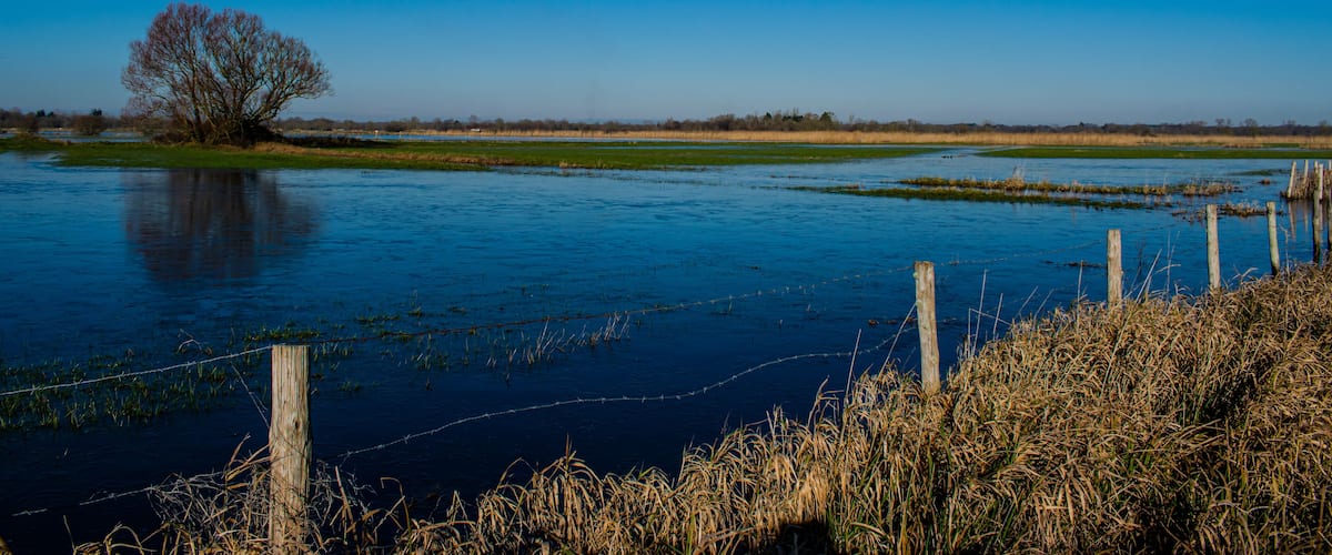 Vendée, France; January 2, 2021: the marshes of blue colors are frozen, winter is here, a superb day with a magnificent sky, not far from Challans.