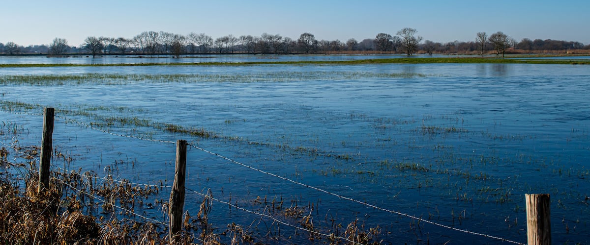 Vendée, France; January 2, 2021: the marshes of blue colors are frozen, winter is here, a superb day with a magnificent sky, not far from Challans.
