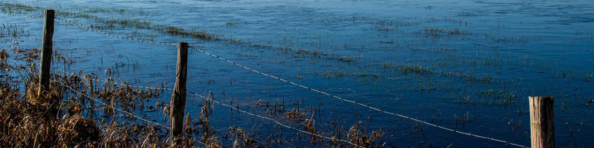 Vendée, France; January 2, 2021: the marshes of blue colors are frozen, winter is here, a superb day with a magnificent sky, not far from Challans.
