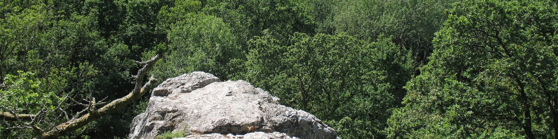 Les falaises de Saut Roland à Dompierre-du-Chemin. Espace naturel départemental et site officiel d’escalade.
