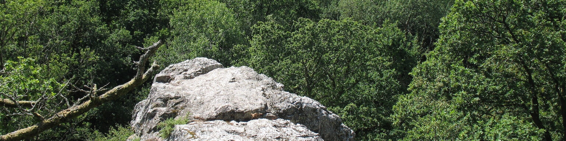 Les falaises de Saut Roland Ă Dompierre-du-Chemin. Espace naturel dĂ©partemental et site officiel dâescalade.
