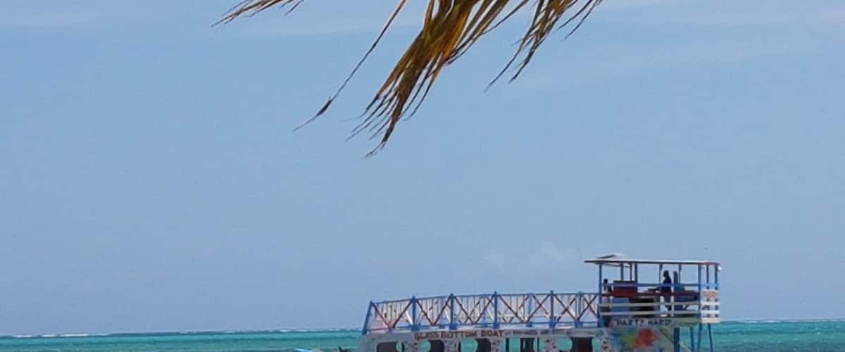 A boat with a blue and white color scheme, a covered upper deck, and a sign that reads "Gossy Bottom for Gossy Bottom & Gossy Bottom Tours".
