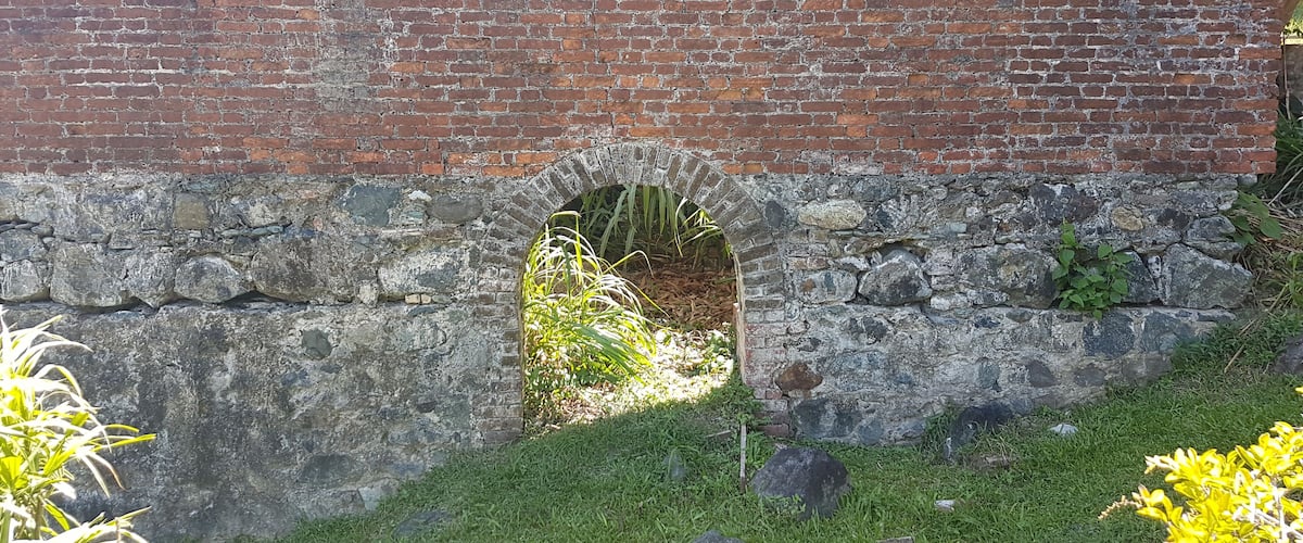 A brick wall with a stone archway and a grassy area with yellow flowers.
