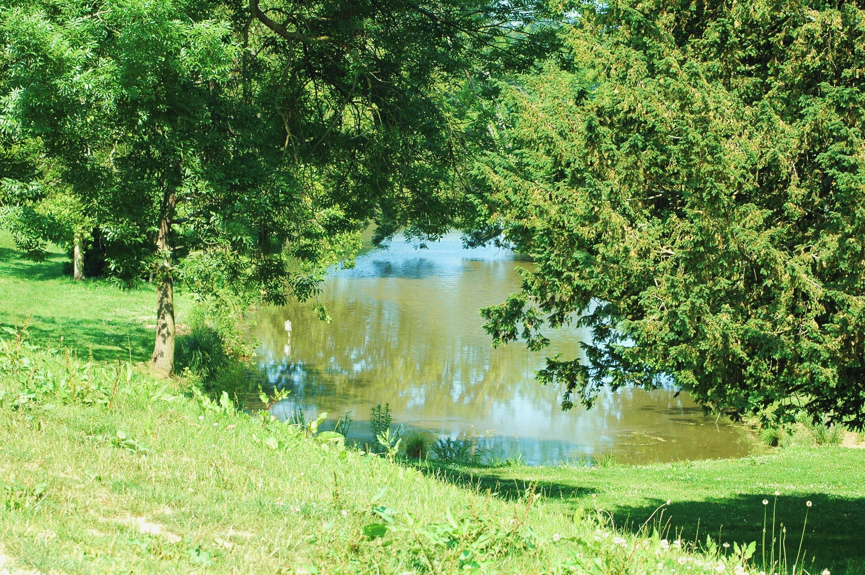 Parc du Chateau d'Eu,Seine Maritime-France