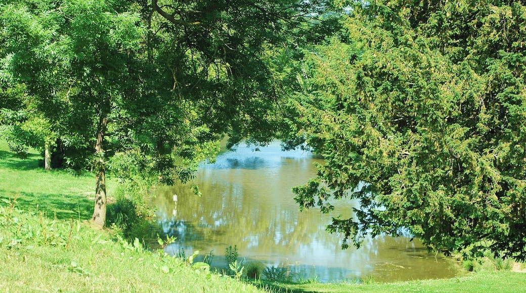 Parc du Chateau d'Eu,Seine Maritime-France