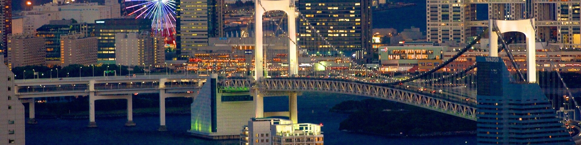Tokyo which includes a bay or harbor, modern architecture and a bridge