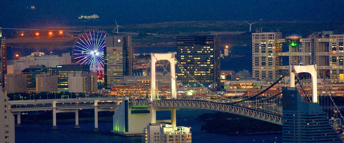 A cityscape at night with a prominent bridge, illuminated buildings, and a colorful Ferris wheel.