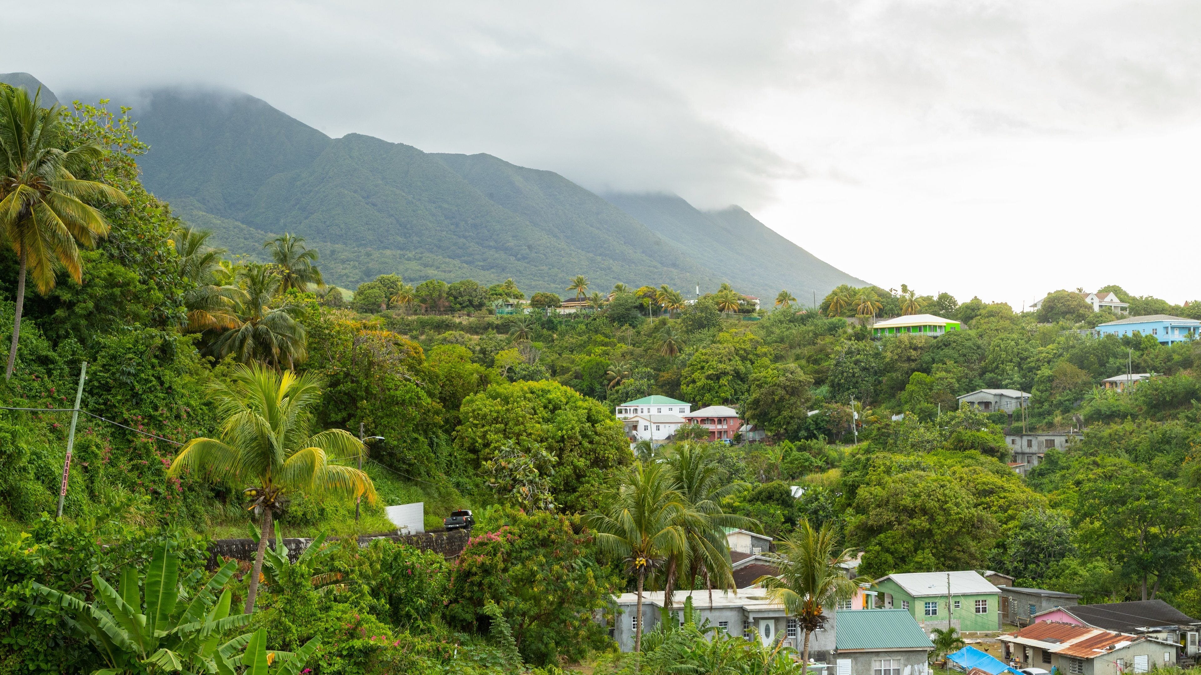 A lush green landscape with a mountain in the background and houses scattered throughout.