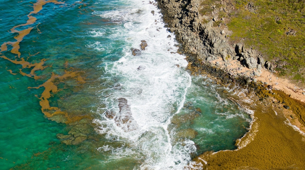 St. Kitts featuring rocky coastline and general coastal views