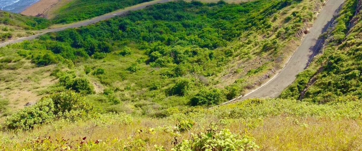 The scenic lookout over St Kitts from #TimothyHill
#Caribbean
#Green