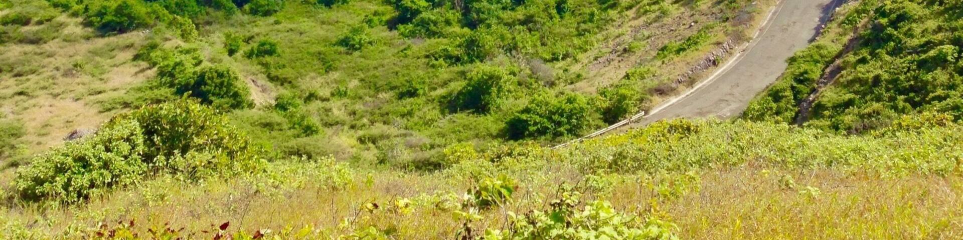 The scenic lookout over St Kitts from #TimothyHill
#Caribbean
#Green