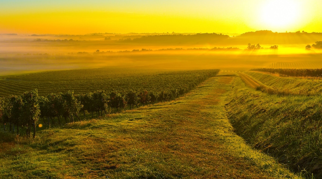 Lesparre-Medoc