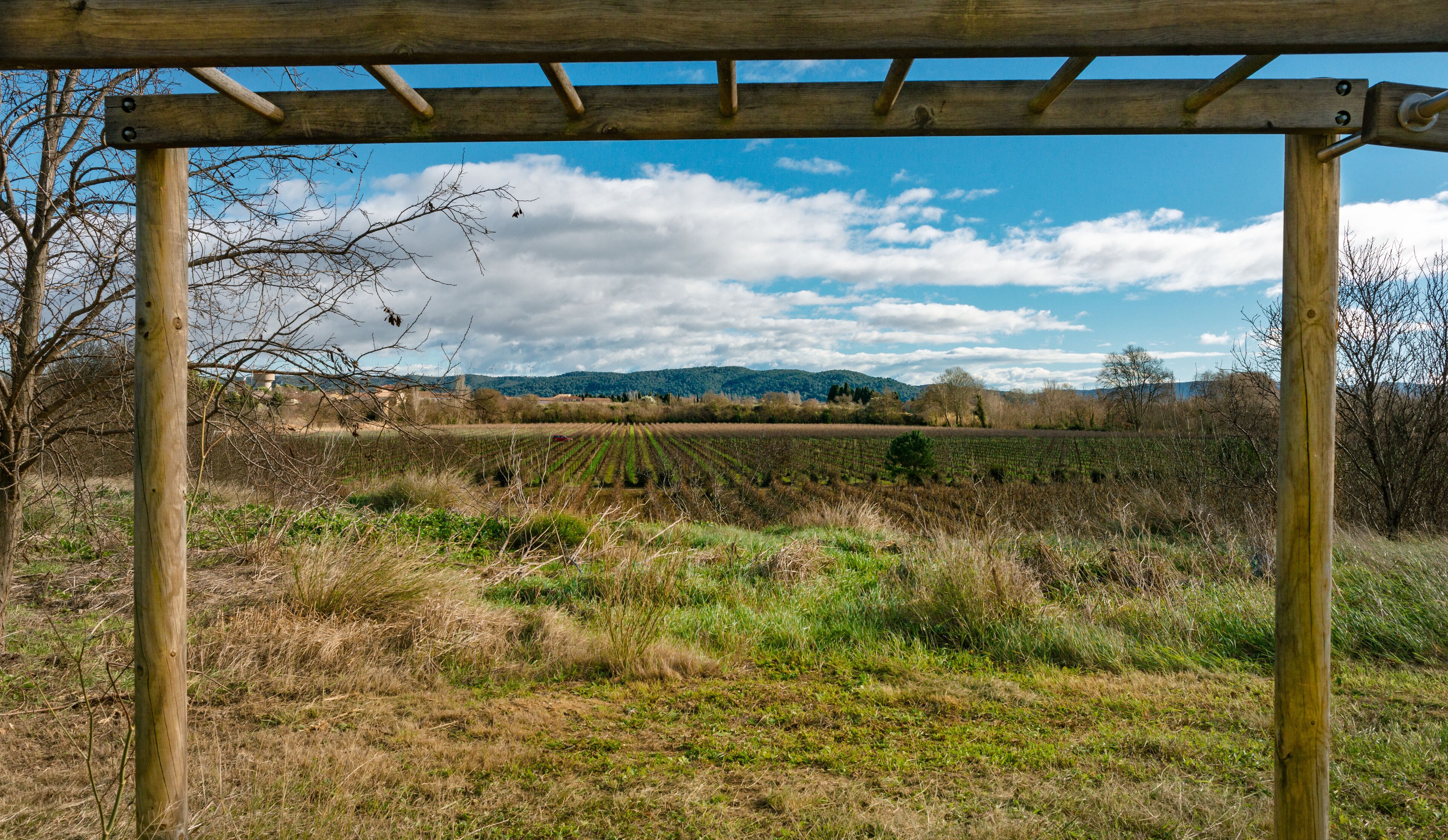 A wooden pergola in a field with mountains in the background.