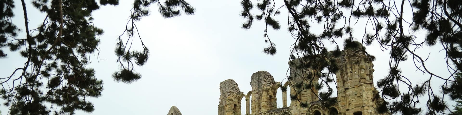 Wenlock Priory or St Milburga's Priory, is a ruined 12th century Monastery located in Much Wenlock Shropshire