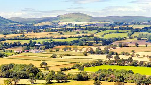 マッチ ウェンロック